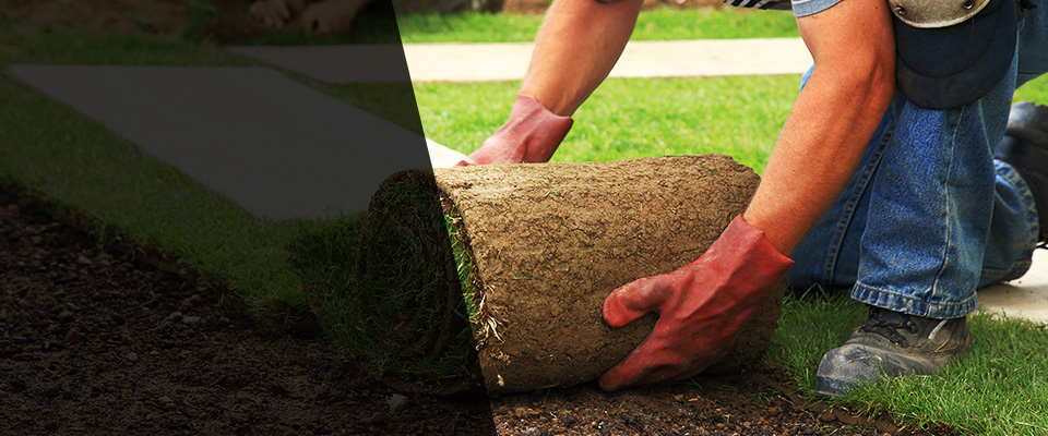 River Falls Landscapers